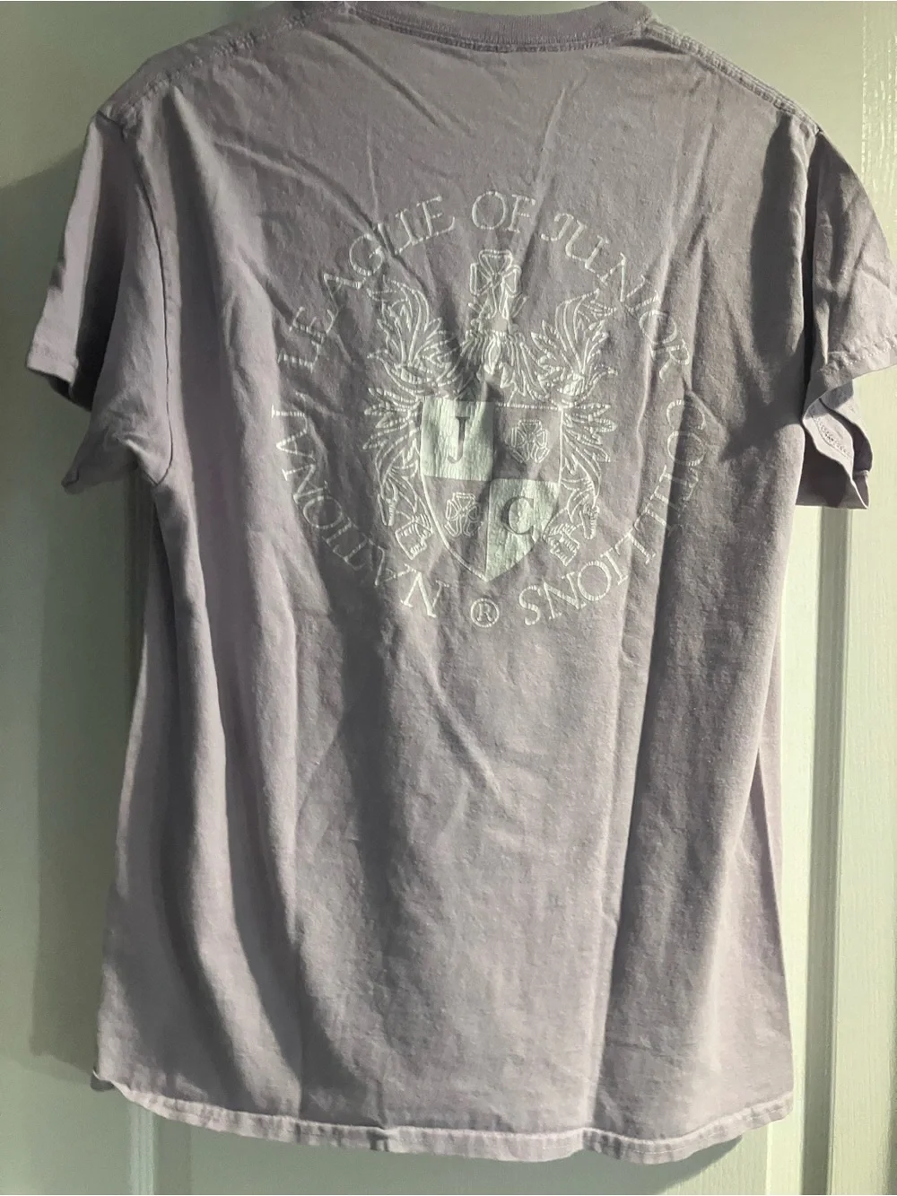 Classic Men's Lavender Crew Neck T-Shirt Size Large